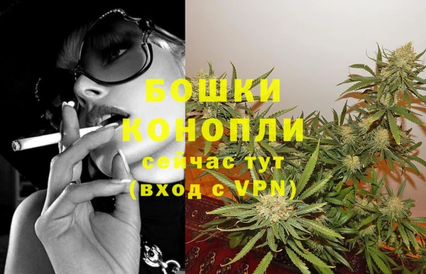 трава Заволжье